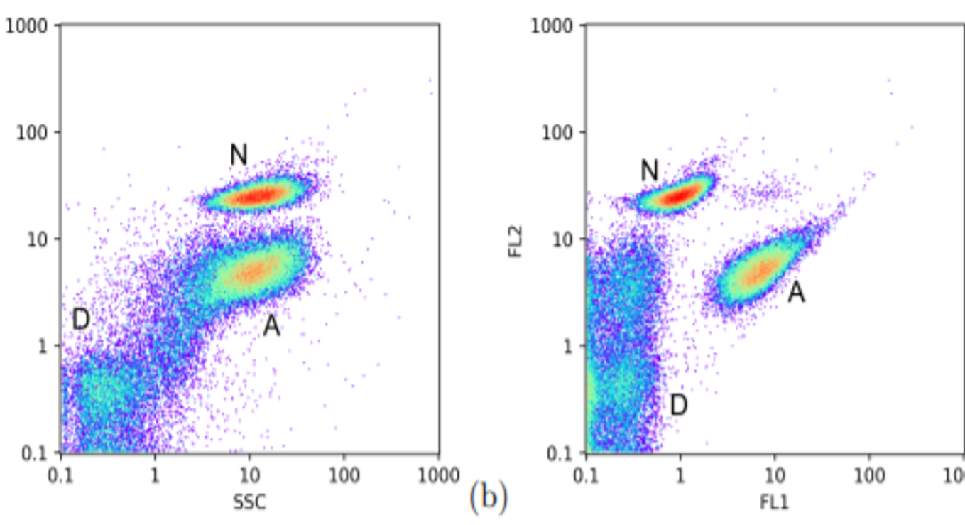 Machine learning cytometry