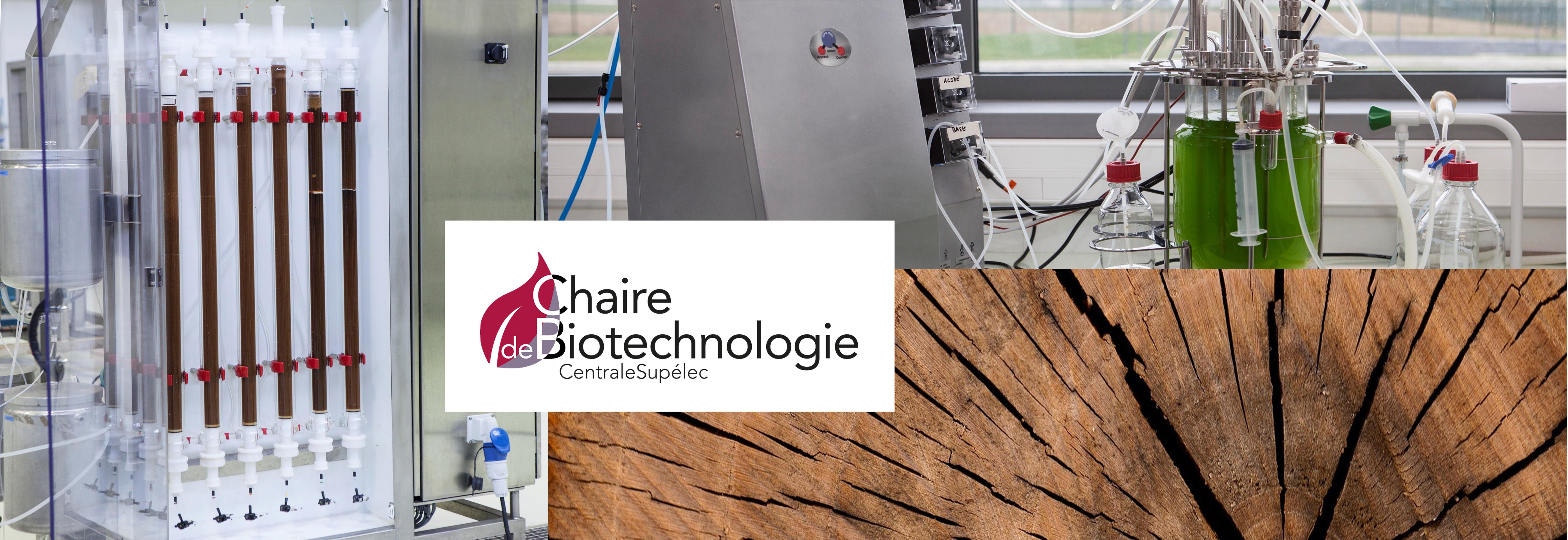 Chaire de Biotechnologie - CentraleSupélec